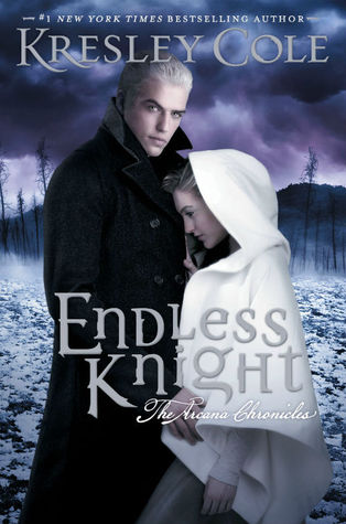 Endless Knight cover