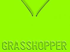 Book 2 Screen: ‘Grasshopper Jungle’ Dream Cast