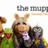 Poll: Which Pig Is Kermit’s Soulmate on ‘The Muppets’?