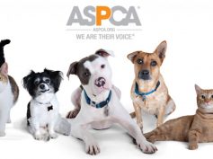 Red Carpet for the ASPCA’s After Dark cocktail party: TONIGHT at 9 P.M. EST on Facebook Live/Snapchat