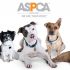 Red Carpet for the ASPCA’s After Dark cocktail party: TONIGHT at 9 P.M. EST on Facebook Live/Snapchat