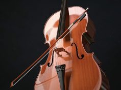 Cello Bow Proper Setup