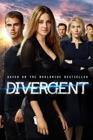 a good dystopian movie on netflix is Divergent